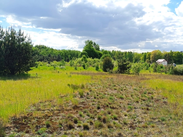 Купить земельный участок в Калининграде. Вариант № 24683, 8, площадь - квм, цена 540000 рублей