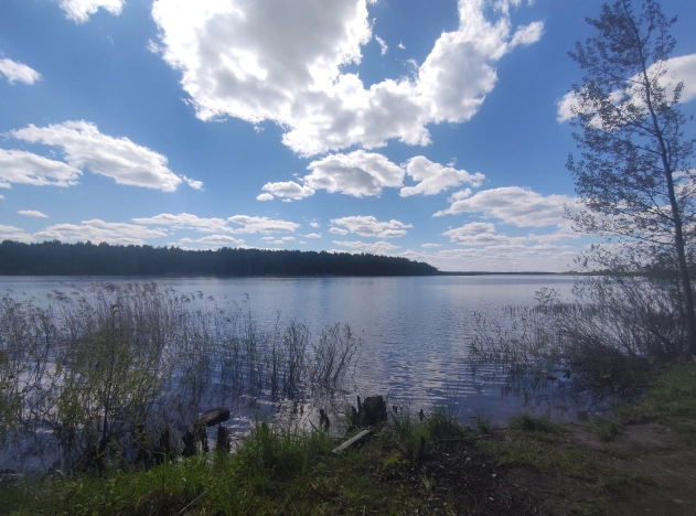 Купить земельный участок на улице Загородная в Ярославской области. Вариант № 1201656, 24, площадь -  квм, цена 1800000 рублей