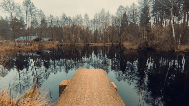 Купить земельный участок в Владимире. Вариант № 10397404, 2, площадь -  квм, цена 3850000 рублей