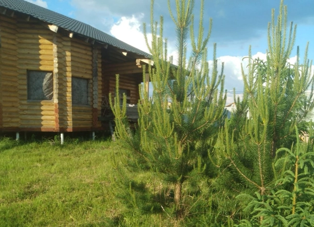 Купить дом в Москве. Вариант № 9180160, 4, площадь - квм, цена 13500000 рублей