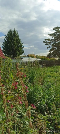 Купить земельный участок в Тобольске. Вариант № 3415258, 4, площадь -  квм, цена 400000 рублей