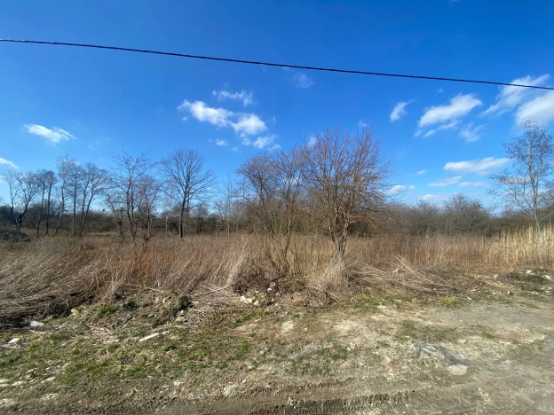 Купить земельный участок в Калининградской области. Вариант № 32240, 26, площадь -  квм, цена 2700000 рублей