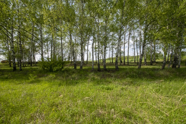 Купить земельный участок на улице Овражная в Нижегородской области. Вариант № 43313, 12, площадь -  квм, цена 700000 рублей