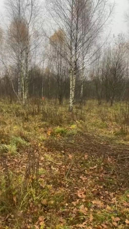 Купить земельный участок в Москве. Вариант № 9943821, 6, площадь -  квм, цена 2500000 рублей