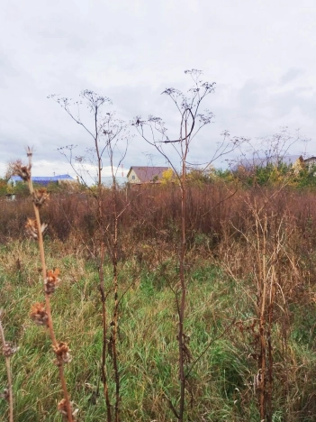 Купить земельный участок в Стерлитамаке. Вариант № 5922204, 1, площадь -  квм, цена 1300000 рублей