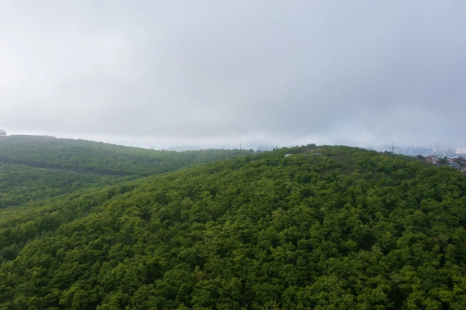 Купить двухкомнатную квартиру в новостройках на улице Весенняя в Приморском крае. Вариант № 4137546, 3, площадь - квм, цена 10592700 рублей