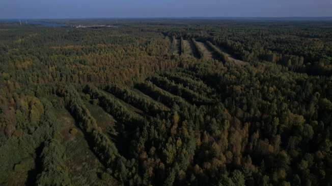 Купить земельный участок в Республике Карелия. Вариант № 13851, 13, площадь -  квм, цена 6000000 рублей