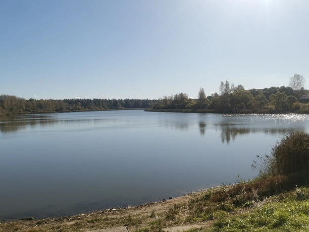 Купить дом в Нижегородской области. Вариант № 6154115, 26, площадь -  квм, цена 3400000 рублей