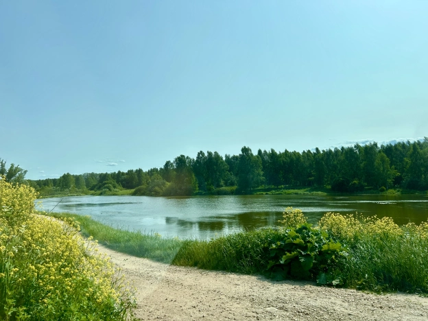 Купить дом в Боре. Вариант № 48683, 42, площадь -  квм, цена 3600000 рублей