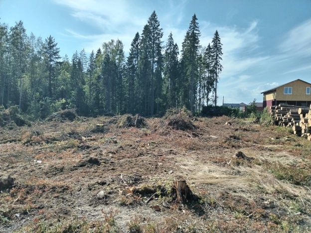 Купить земельный участок в Петрозаводске. Вариант № 25970, 6, площадь -  квм, цена 1450000 рублей