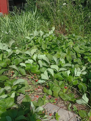 Купить дом в Кемерове. Вариант № 59929, 13, площадь -  квм, цена 9950000 рублей