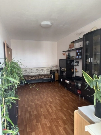 Купить однокомнатную квартиру в Новосибирской области. Вариант № 10339434, 2, площадь -  квм, цена 4950000 рублей