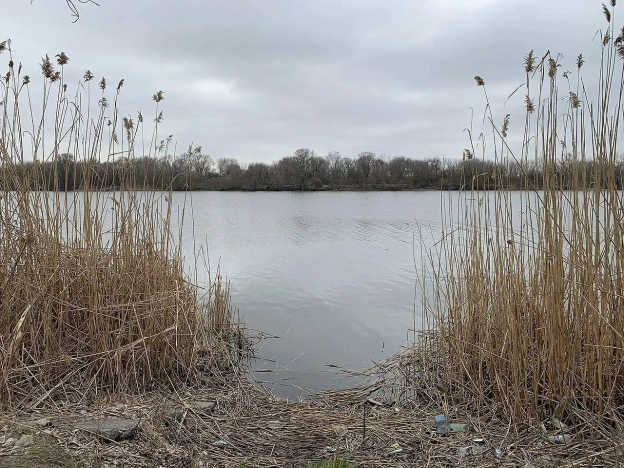 Купить земельный участок в районе Ворошиловский в Ростове-на-Дону. Вариант № 49526, 2, площадь -  квм, цена 3650000 рублей
