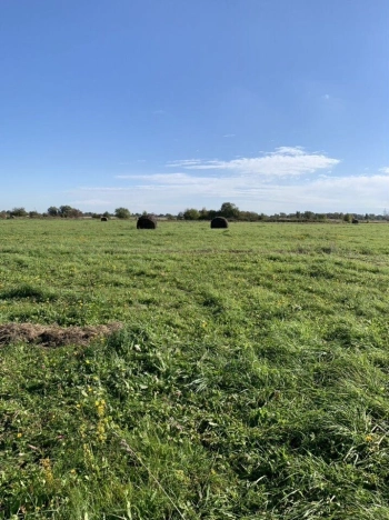 Купить земельный участок в Зеленоградске. Вариант № 47649, 1, площадь -  квм, цена 3900000 рублей