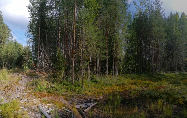 Купить земельный участок в Республике Коми. Вариант № 2358440, 3, площадь -  квм, цена 650000 рублей