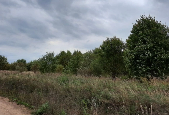 Купить земельный участок в Вологодской области. Вариант № 5299, 2, площадь -  квм, цена 1600000 рублей