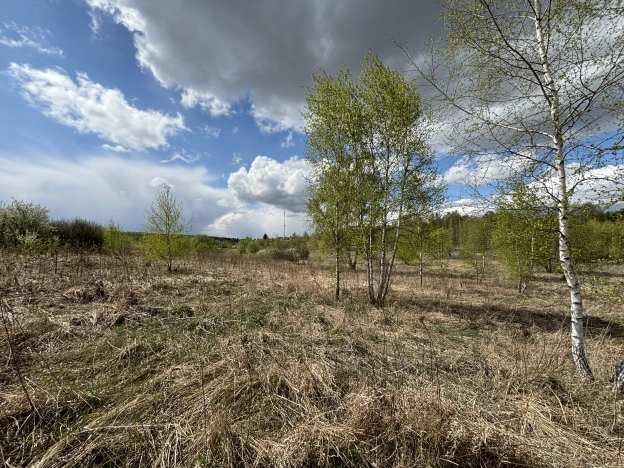 Купить земельный участок в Тульской области. Вариант № 28122, 4, площадь -  квм, цена 240000 рублей