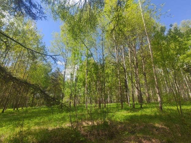 Купить земельный участок на улице Загородная в Ярославской области. Вариант № 1201656, 15, площадь -  квм, цена 1800000 рублей