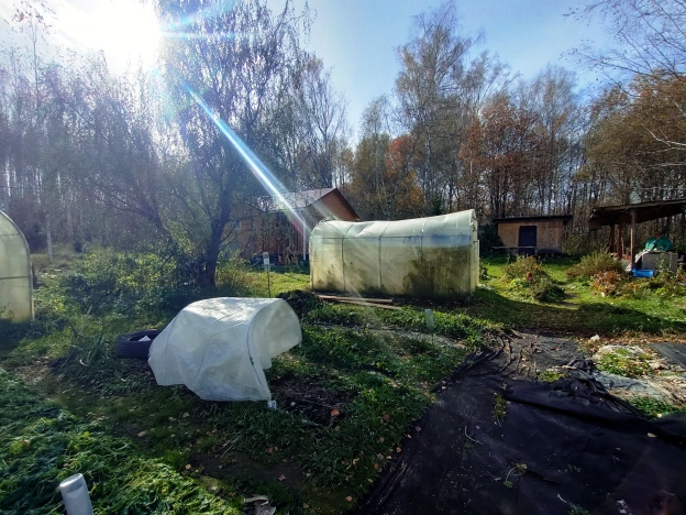 Купить дачу в Новосибирске. Вариант № 5452753, 25, площадь -  квм, цена 4000000 рублей