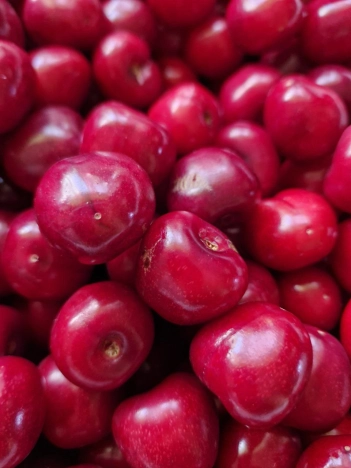 Купить дом на улице Мичурина в Керчи. Вариант № 7177077, 31, площадь -  квм, цена 10300000 рублей