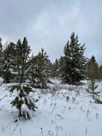 Купить земельный участок в Улан-Удэ. Вариант № 8910520, 4, площадь -  квм, цена 900000 рублей