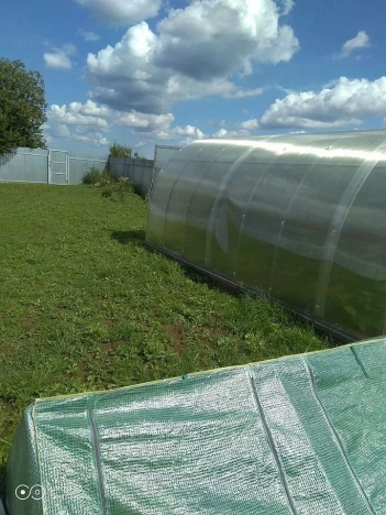 Купить дом в Всеволожске. Вариант № 57673, 27, площадь -  квм, цена 12900000 рублей