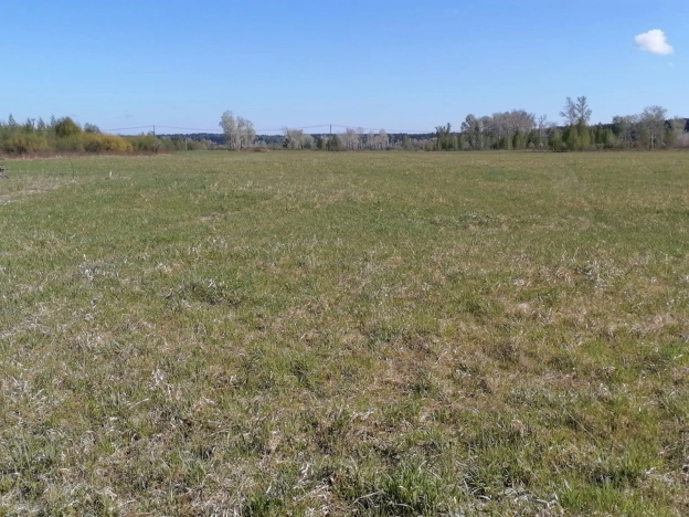 Купить земельный участок в Новосибирске. Вариант № 44375, 5, площадь -  квм, цена 750000 рублей