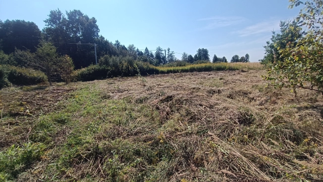 Купить земельный участок на улице Заозёрный проезд в Калининграде. Вариант № 6141881, 6, площадь -  квм, цена 1900000 рублей