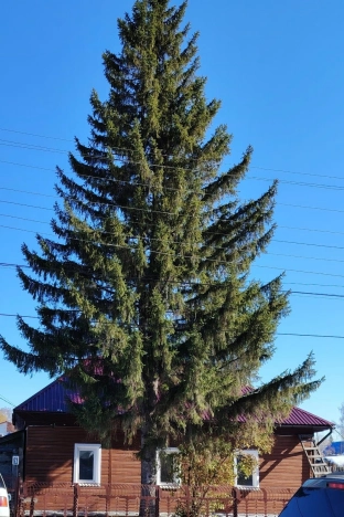 Купить дом на улице Луговская в Бердске. Вариант № 7534213, 0, площадь -  квм, цена 5000000 рублей