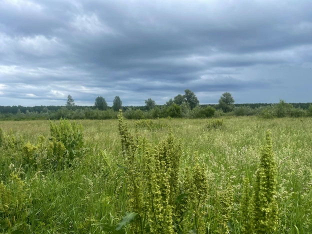 Купить земельный участок в Новосибирске. Вариант № 50415, 2, площадь -  квм, цена 350000 рублей