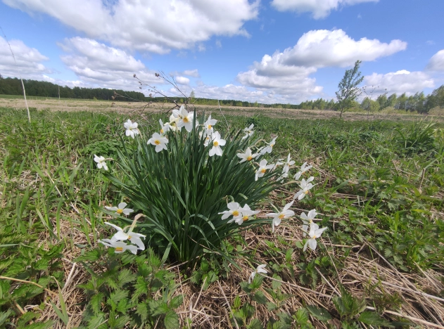 Купить земельный участок на улице Визитная в Владимире. Вариант № 1015, 14, площадь -  квм, цена 1800000 рублей