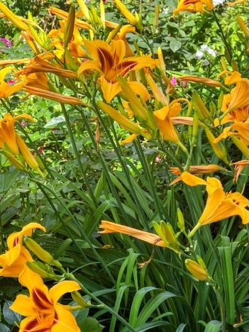 Купить дом в Москве. Вариант № 8807704, 33, площадь - квм, цена 15600000 рублей