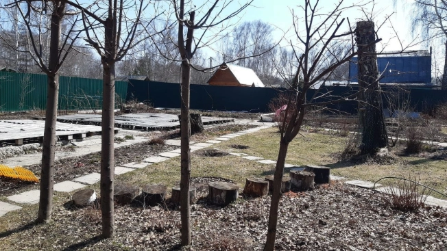 Купить земельный участок в Новосибирске. Вариант № 49891, 17, площадь -  квм, цена 530000 рублей