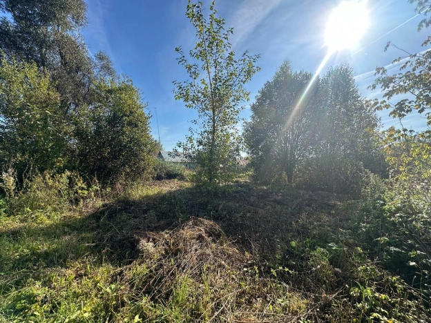 Купить земельный участок на улице 1 Мая в Нижегородской области. Вариант № 53229, 9, площадь -  квм, цена 350000 рублей