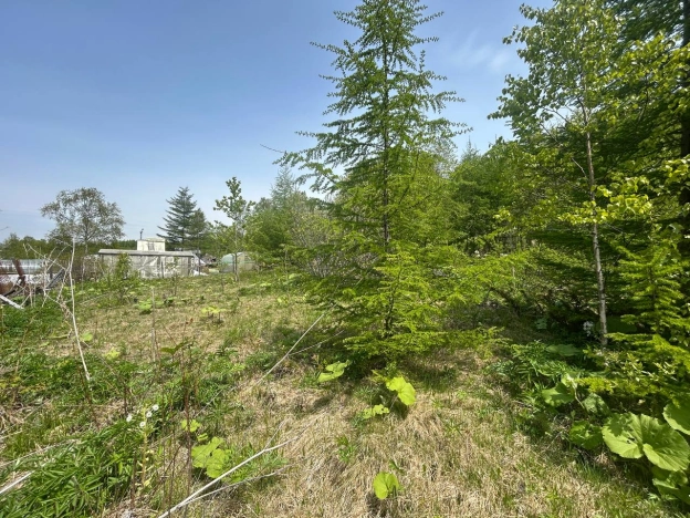 Купить земельный участок в Южно-Сахалинске. Вариант № 41504, 5, площадь -  квм, цена 500000 рублей