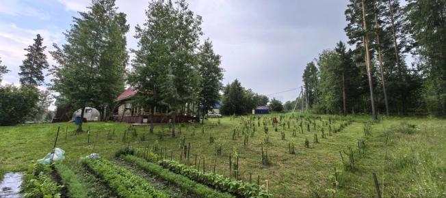 Купить земельный участок в Искитиме. Вариант № 19506, 39, площадь -  квм, цена 3430000 рублей