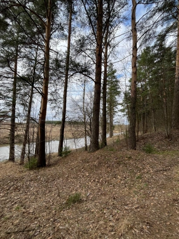 . Вариант № 973533, 13, площадь - 93.2 квм, цена 9000000 рублей