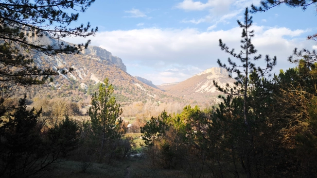 Купить земельный участок в Республике Крым. Вариант № 20225, 11, площадь -  квм, цена 4800000 рублей