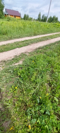 Купить земельный участок в Йошкар-Оле. Вариант № 51628, 5, площадь -  квм, цена 1150000 рублей