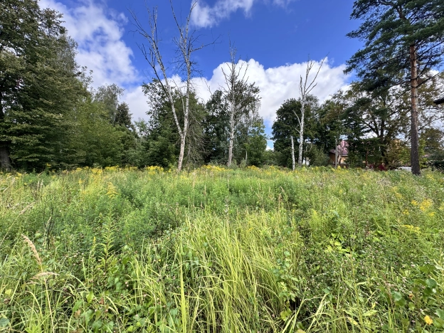 Купить земельный участок в Москве. Вариант № 2547458, 3, площадь -  квм, цена 12500000 рублей