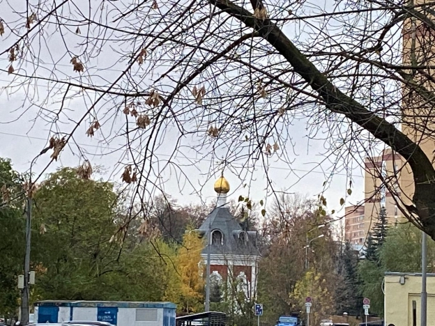 Купить квартиру в Москве. Вариант № 8042008, 22, площадь - квм, цена 23250000 рублей