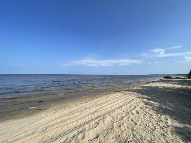 Купить земельный участок в Вологодской области. Вариант № 31896, 17, площадь -  квм, цена 5999000 рублей