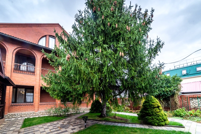 Купить дом на улице Ипподромная в Краснодаре. Вариант № 4277, 1, площадь -  квм, цена 39500000 рублей