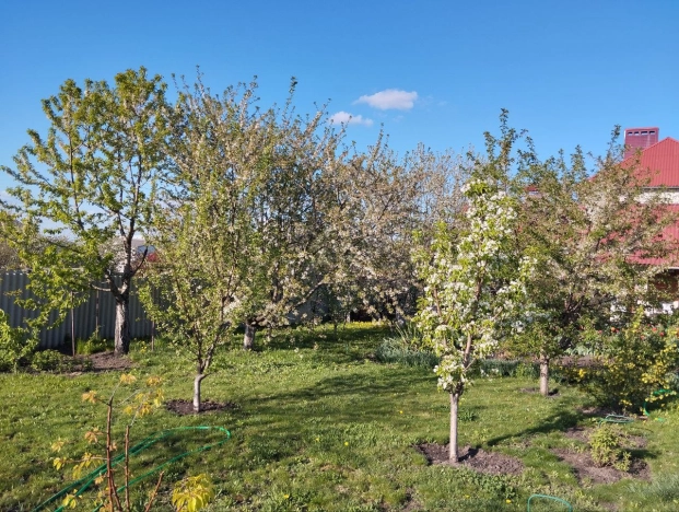 Купить дом в Белгороде. Вариант № 5338, 45, площадь -  квм, цена 13000000 рублей