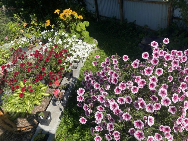 Купить дом в Москве. Вариант № 11944, 42, площадь - квм, цена 16800000 рублей