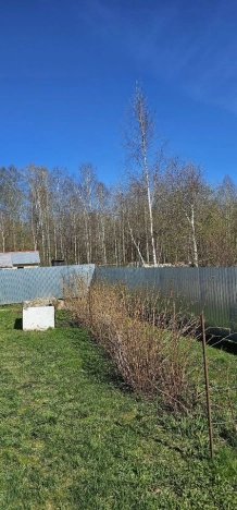 Купить дачу в Тюменской области. Вариант № 50638, 4, площадь -  квм, цена 1700000 рублей