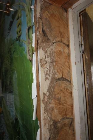 Купить дом в Оренбургской области. Вариант № 16371, 39, площадь - квм, цена 3650000 рублей