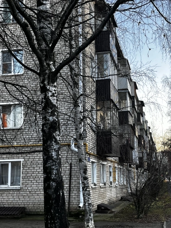 Купить двухкомнатную квартиру в Республике Марий эл. Вариант № 9178280, 33, площадь -  квм, цена 4950000 рублей