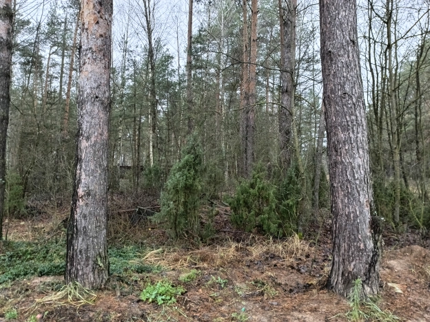 Купить земельный участок в Рязани. Вариант № 10011175, 3, площадь -  квм, цена 3600000 рублей