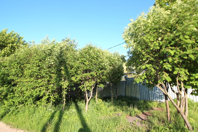 Купить дом в Ступине. Вариант № 46957, 20, площадь -  квм, цена 3850000 рублей